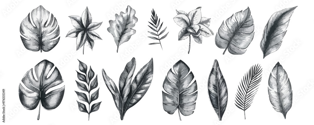 Fototapeta premium Set botanical hand drawn element. Isolated on a white background. vector illustration