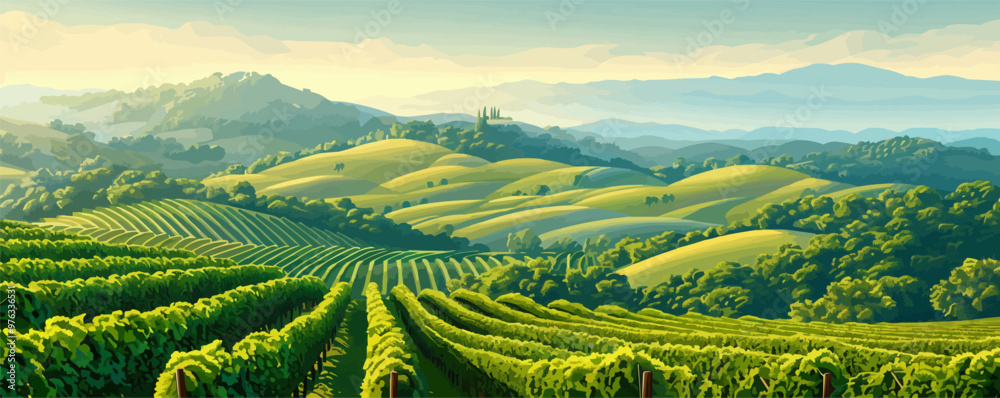 Fototapeta premium A picturesque vineyard scene with orderly rows of grapevines stretching across rolling hillsides. Vector flat minimalistic isolated illustration.