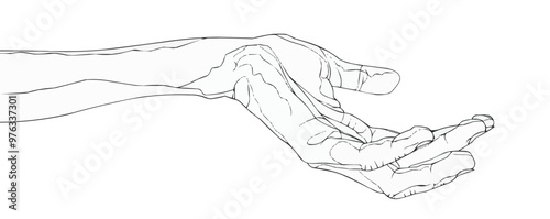 Continuous one line drawing open hand on a white background. vector illustration.