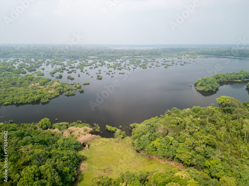 Drone aerial over jungle in amazon rainforest near Manaus photo