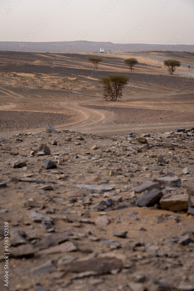 Obraz premium Dirt Tracks on Black Stones Near Merzouga