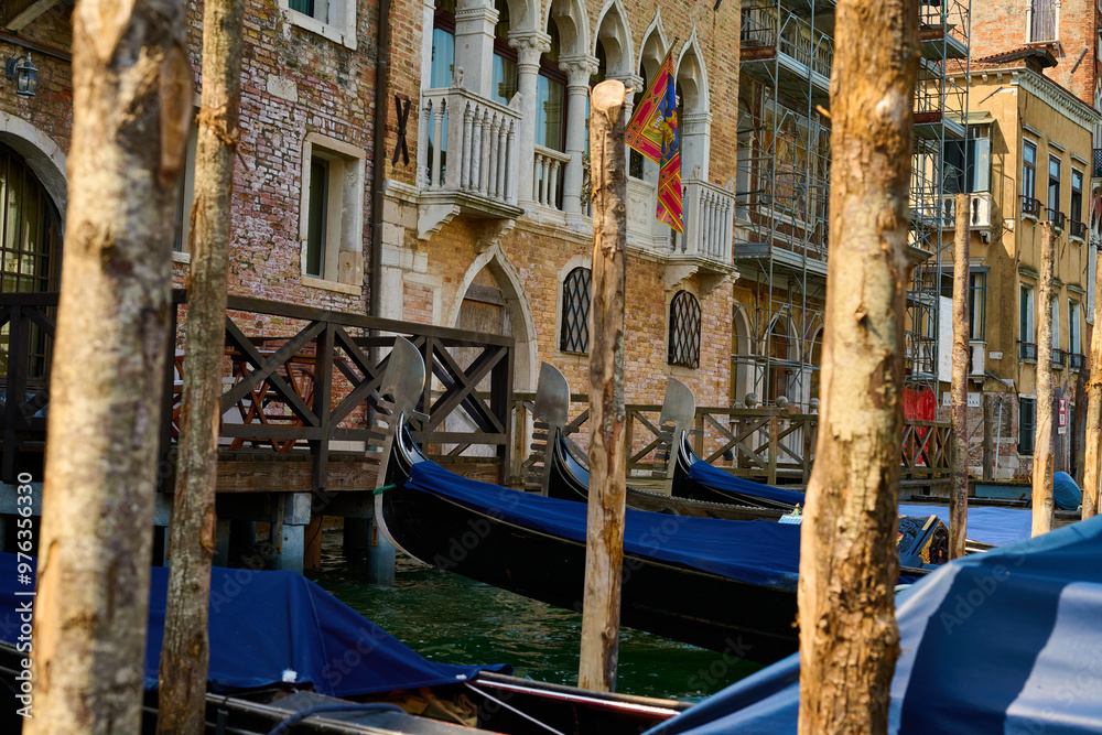 Fototapeta premium Venice and its canals,streets,buildings and birds