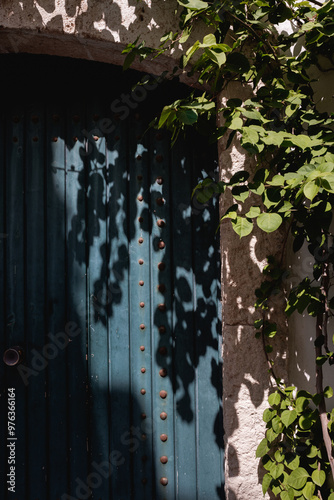 Wooden door with decorative climbing plant