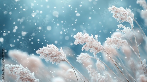 Frost-covered grasses sway gently under falling snowflakes on a winter afternoon