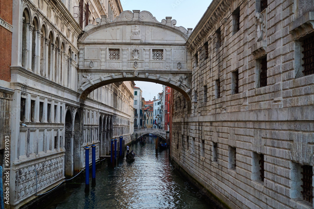 Venice and it's gondolas , canals , birds and streets