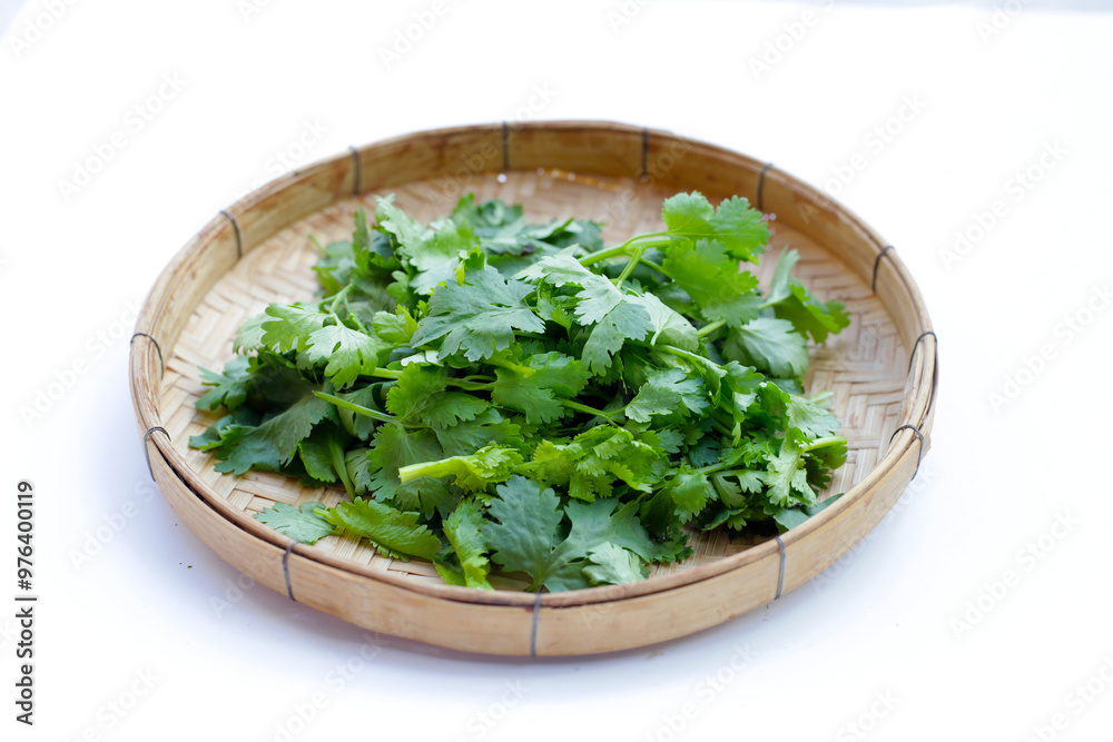 Fresh organic coriander, vegetables and herbs Fresh organic coriander, vegetables and herbs