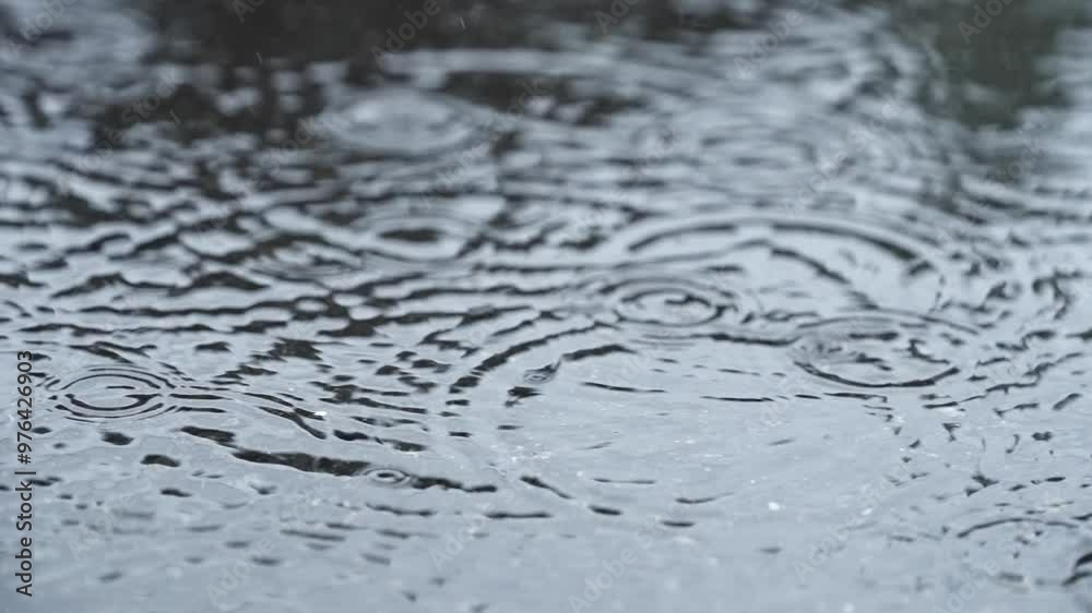 スーパースロー映像:水たまりに落ちて跳ねる雨の雫 スーパースロー映像:水たまりに落ちて跳ねる雨の雫