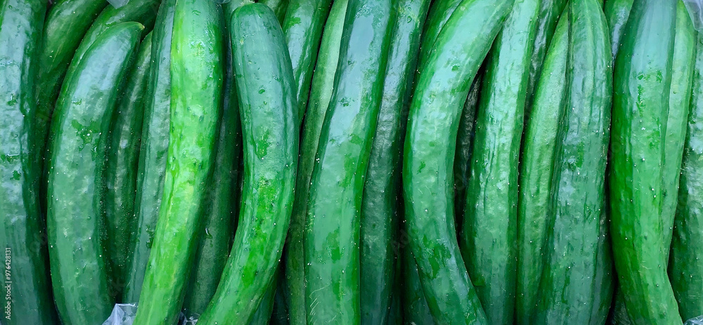 箱の新鮮きゅうり 道の駅 野菜の町 深谷市 箱の新鮮きゅうり 道の駅 野菜の町 深谷市