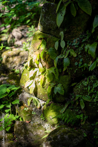 鎌倉2409　杉本寺2　石垣 photo