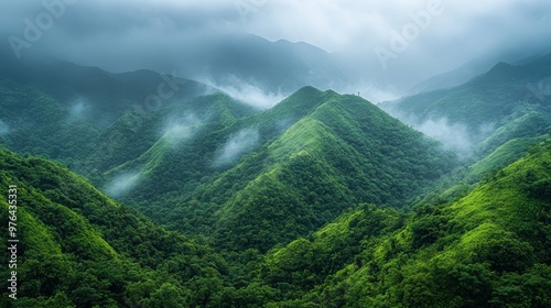 Lush verdant forest canopy blanketing the rolling undulating hills of a scenic post-rainy season landscape photo