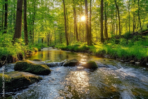 Sunlit Stream Flowing Through a Lush Green Forest