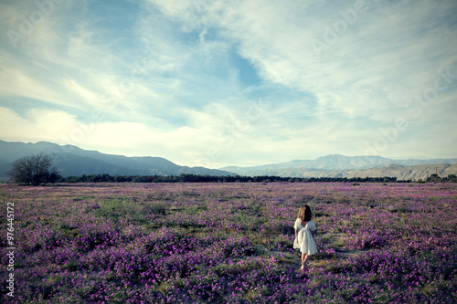 Wallpaper Mural girl walking in purple desert flower field Torontodigital.ca