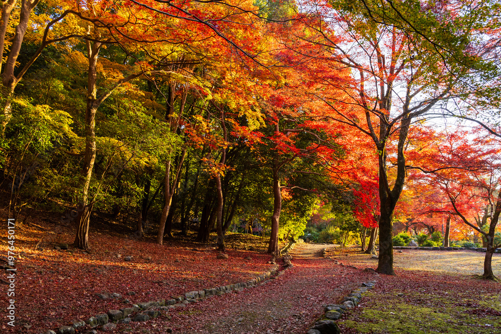 Naklejka premium 日本の風景・秋 京都嵯峨嵐山 紅葉の嵐山公園