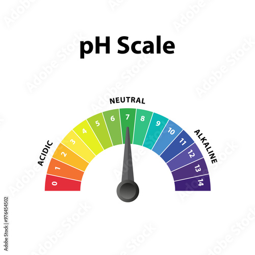 Colorful Ph level Scale chart indicator diagram value. Alkaline, neutral, acidic solution.