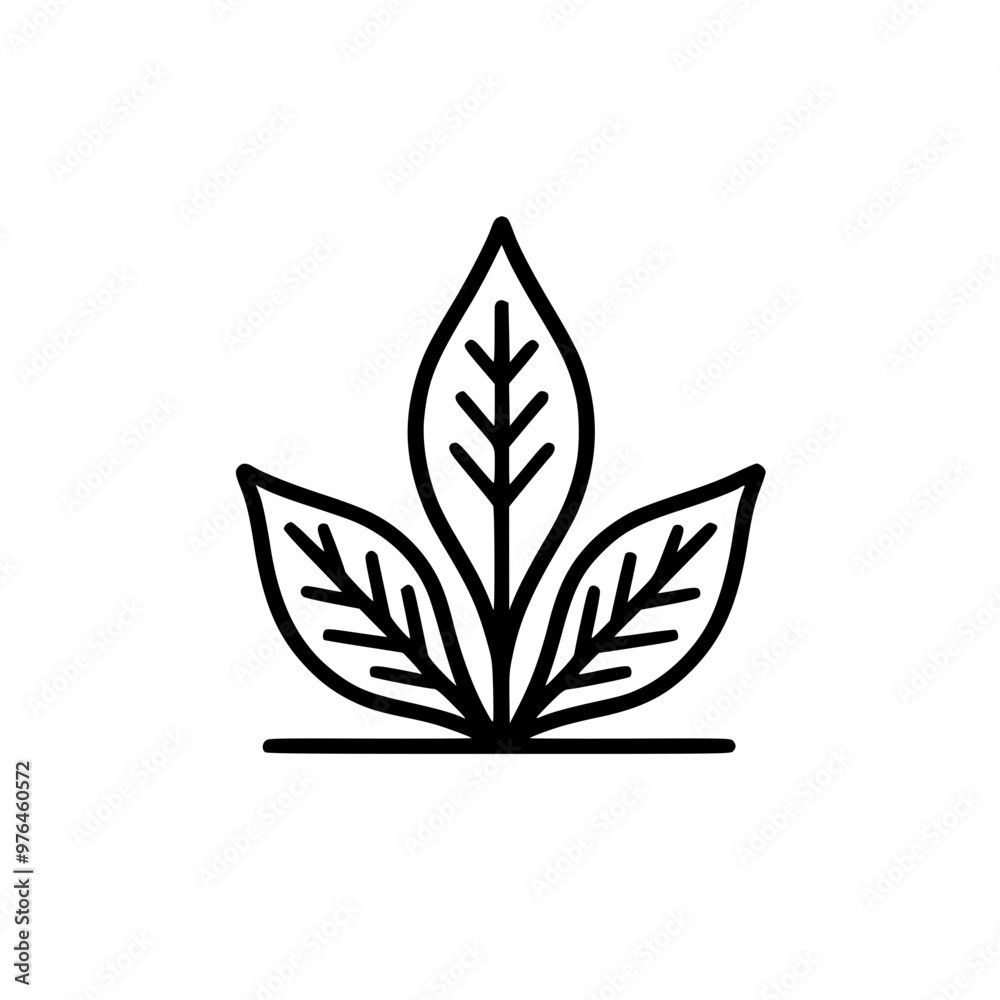 Simple black and white illustration of a plant with three leaves. Simple black and white illustration of a plant with three leaves.