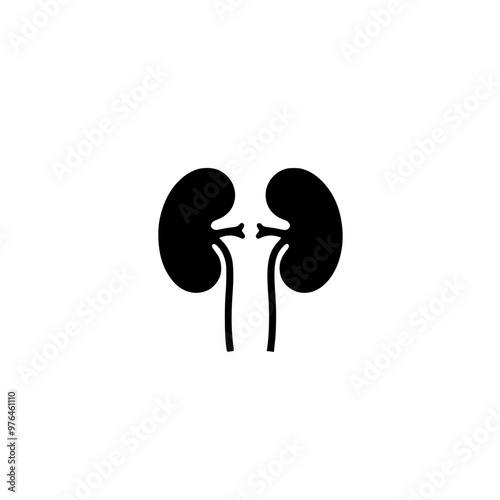 Black and white illustration of human kidneys with ureters and a minimalistic design.