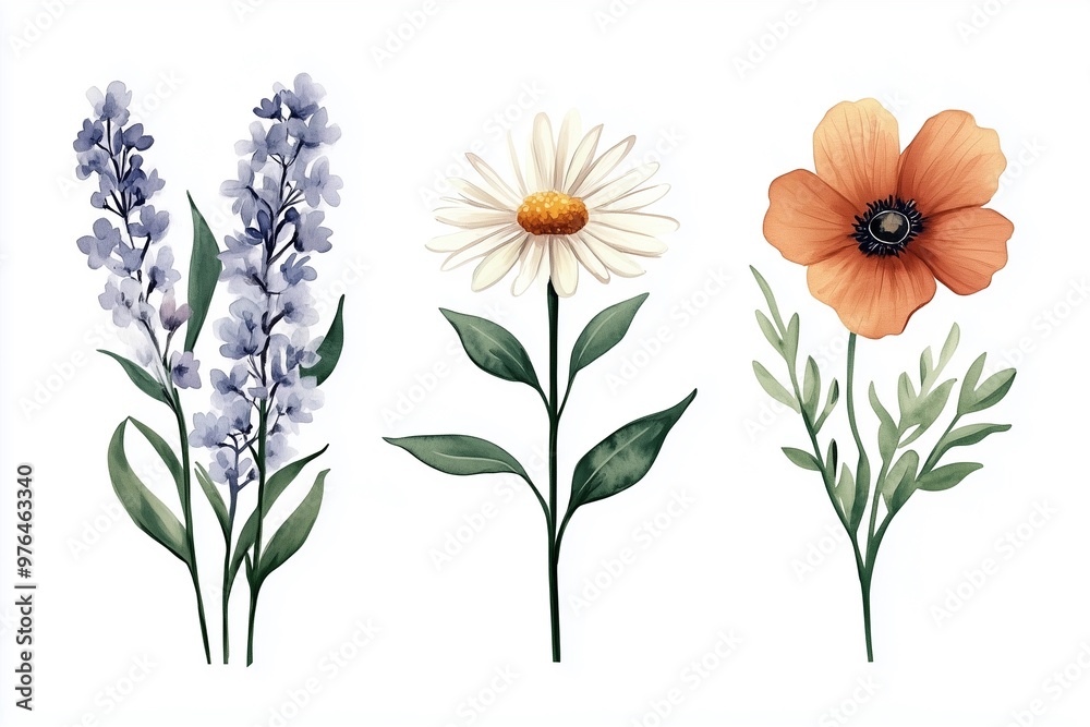 bouquet of flowers bouquet of flowers