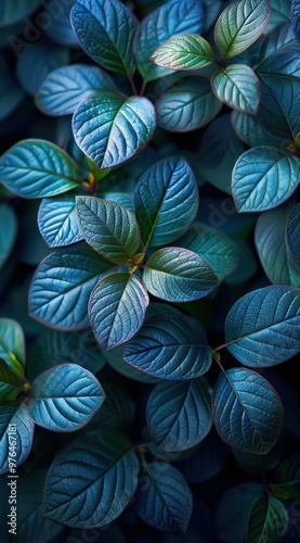 Wallpaper Mural Teal Leaves Torontodigital.ca