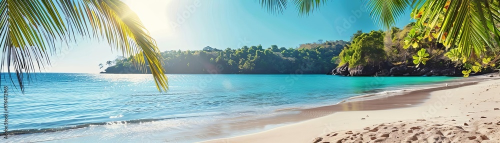 Obraz premium A serene tropical beach with palm trees, clear water, and soft sand, perfect for relaxation and vacations under the sun.