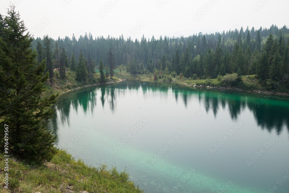 Tranquil Mountain Lake Surrounded by Evergreen Forest