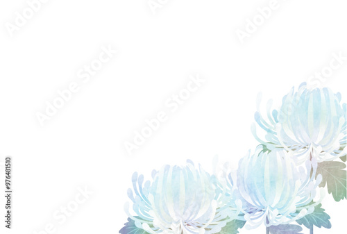 白菊の喪中はがき、虹色、花、かわいい、イラスト、横
