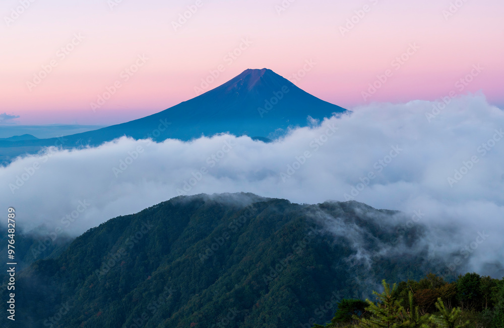 Fototapeta premium 大月市 白谷ノ丸山頂から夜明けの雲海とビーナスベルトの富士山