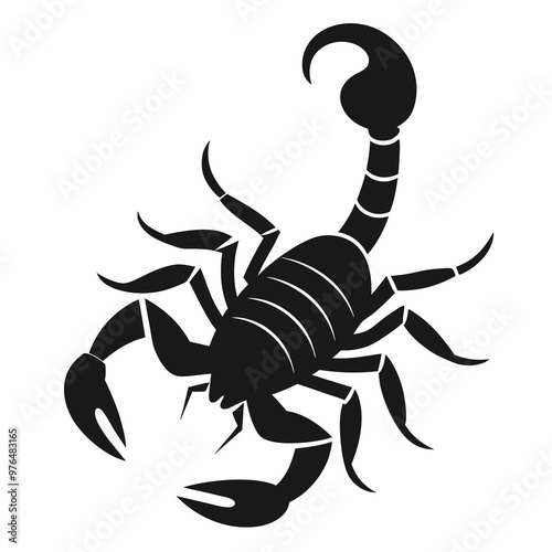 scorpion isolated on white background
