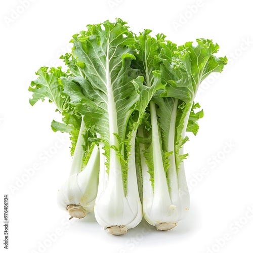 Celtuce isolated on white background. 3D rendering. photo