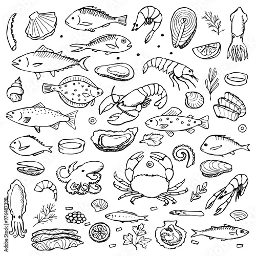 A collection of various seafood illustrations, including fish, shrimp, crabs, and shellfish, showcasing marine life diversity.