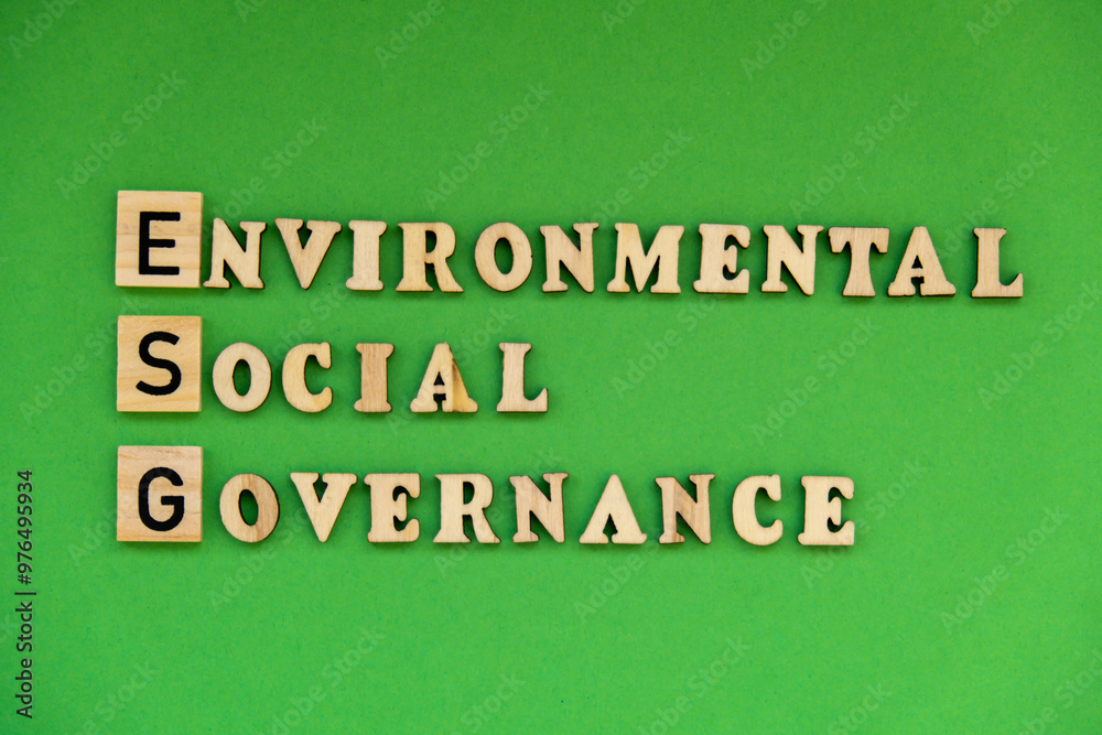 Obraz premium ESG inscription ENVIRONMENTAL SOCIAL GOVERNANCE investment business concept. Text on wooden block on green background. Society and corporate governance 