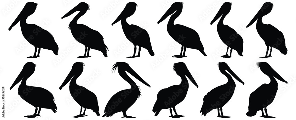 Pelican silhouette set vector design big pack of bird illustration and icon Pelican silhouette set vector design big pack of bird illustration and icon