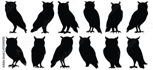 Owl silhouette set vector design big pack of bird illustration and icon