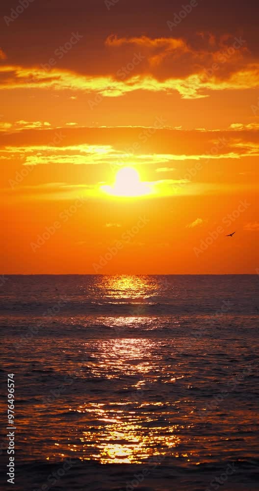 Golden summer sunrise over calm sea waves. Exotic ocean sunset vertical nature video Golden summer sunrise over calm sea waves. Exotic ocean sunset vertical nature video