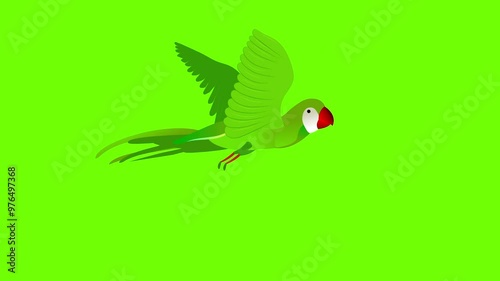 Parrtot flying animation