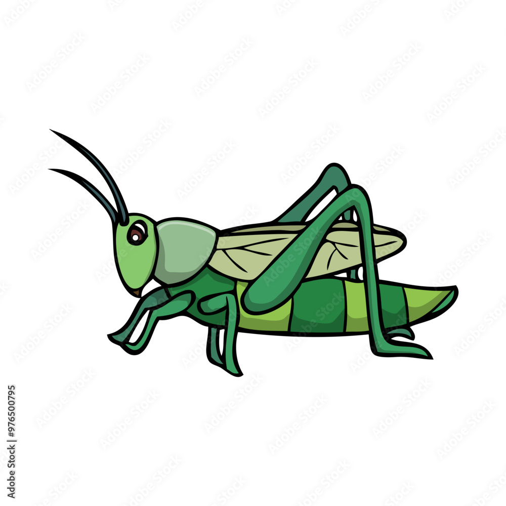 Obraz premium grasshopper vector illustration