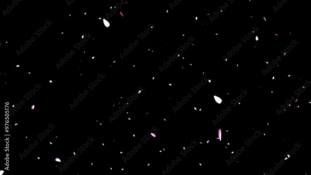 Pink cherry petals falling and flying away on black gradient background. Watercolor cherry blossoms.
Cherry blossom petals flutter down, ink cherry petals. Realistic falling blossoms,