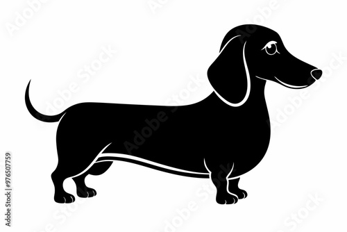 Dachshund dog silhouette, Dachshund icon, Vector black silhouette.