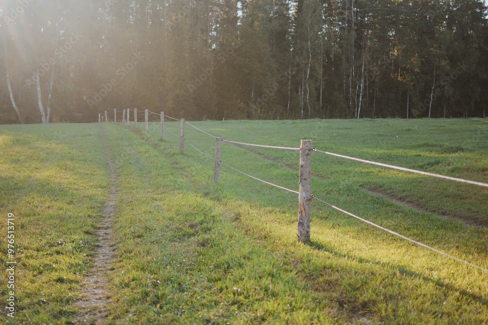 a large plot of meadow with a wooden fence in sunny summer weather a large plot of meadow with a wooden fence in sunny summer weather