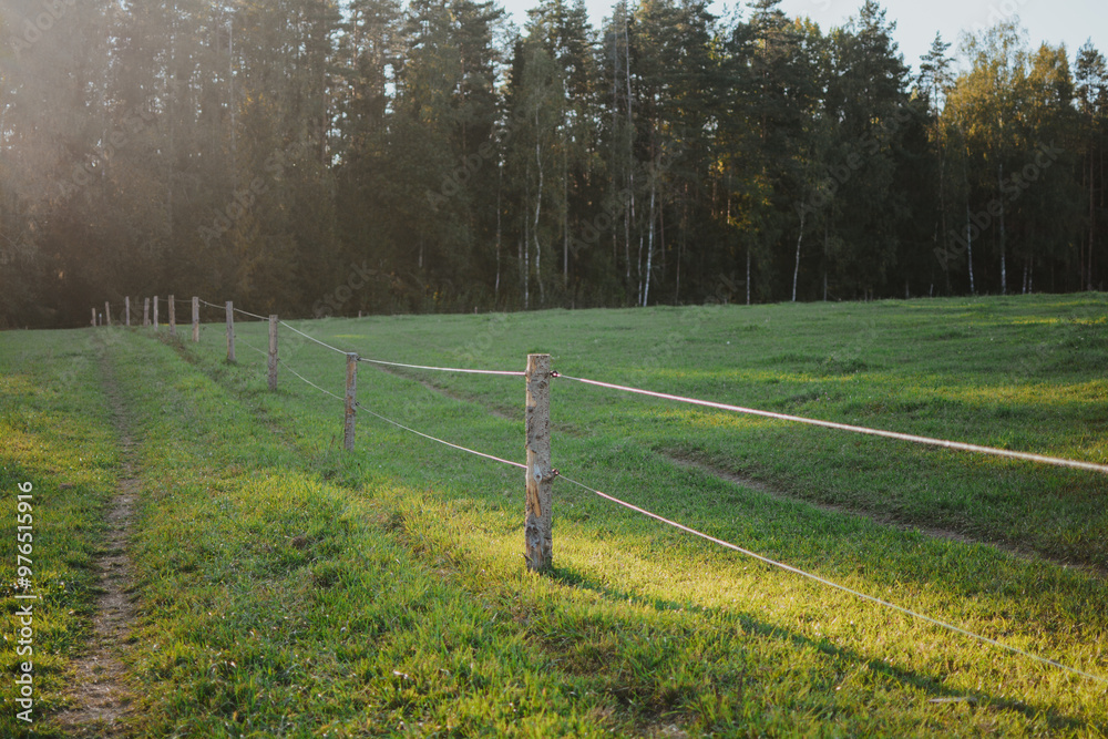 a large plot of meadow with a wooden fence in sunny summer weather a large plot of meadow with a wooden fence in sunny summer weather