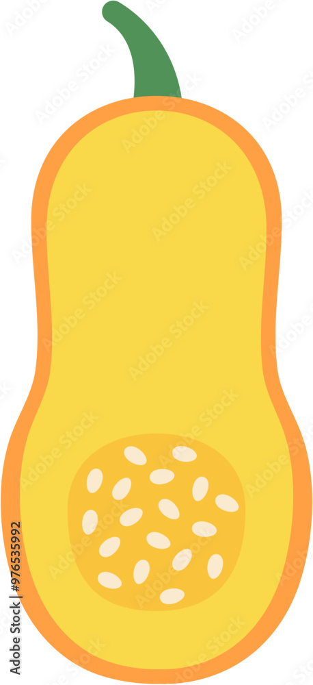 Half slice of long pumpkin squash simple flat style illustration Half slice of long pumpkin squash simple flat style illustration