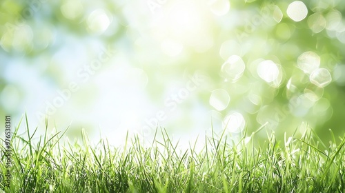 Green Grass Blades with Blurred Bokeh Background