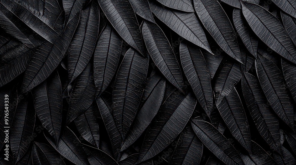 Obraz premium Black and White Tropical Leaf Texture Background