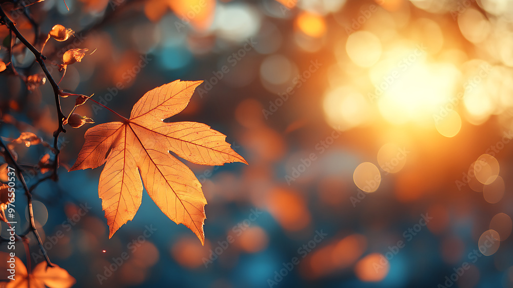 This is a picture of autumn leaves with the sun shining through. This is a picture of autumn leaves with the sun shining through.