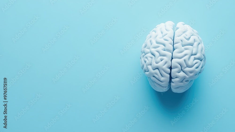Model of human brain on light blue background Model of human brain on light blue background