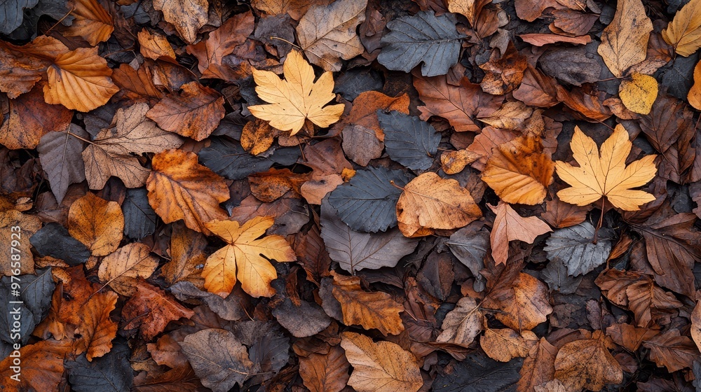 Autumn Leaves Texture Fall Foliage Pattern Dry Leaves Background Autumn Leaves Texture Fall Foliage Pattern Dry Leaves Background