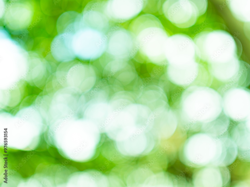 Green nature background bokeh leaf nature summer springtime blur sunlight natural fresh foliage environment ecosystem zero carbon envergy change backdrop, mockup product aesthetic beauty organic. Green nature background bokeh leaf nature summer springtime blur sunlight natural fresh foliage environment ecosystem zero carbon envergy change backdrop, mockup product aesthetic beauty organic.