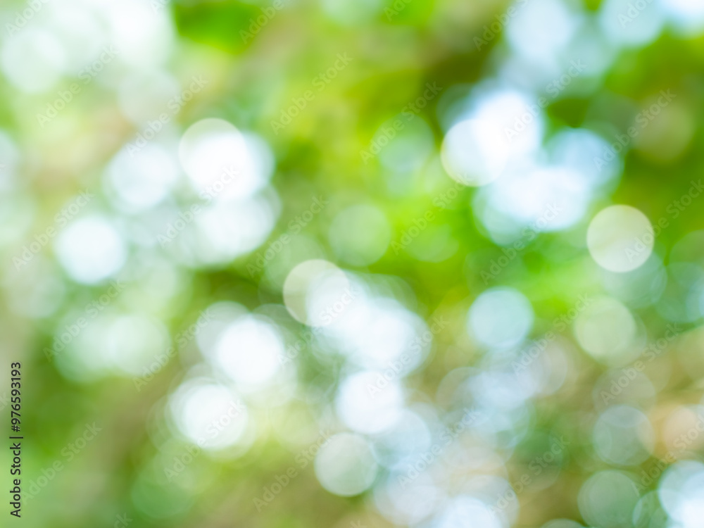 Green nature background bokeh leaf nature summer springtime blur sunlight natural fresh foliage environment ecosystem zero carbon envergy change backdrop, mockup product aesthetic beauty organic. Green nature background bokeh leaf nature summer springtime blur sunlight natural fresh foliage environment ecosystem zero carbon envergy change backdrop, mockup product aesthetic beauty organic.
