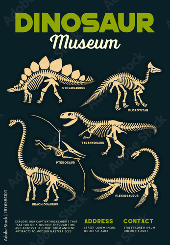 Dinosaurs museum poster with prehistoric dino fossils and skeletons of Stegosaurus, Brachiosaurus, Pterodactyl and Tyrannosaurus species. Vector vintage flyer invites to explore ancient creatures