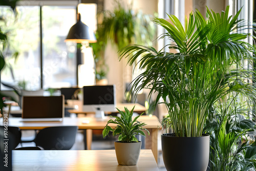 Office interior with indoor plants and a nature-inspired design 