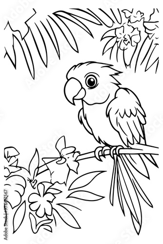 Parrot Coloring Page for Kids, for coloring books or educational materials about birds photo